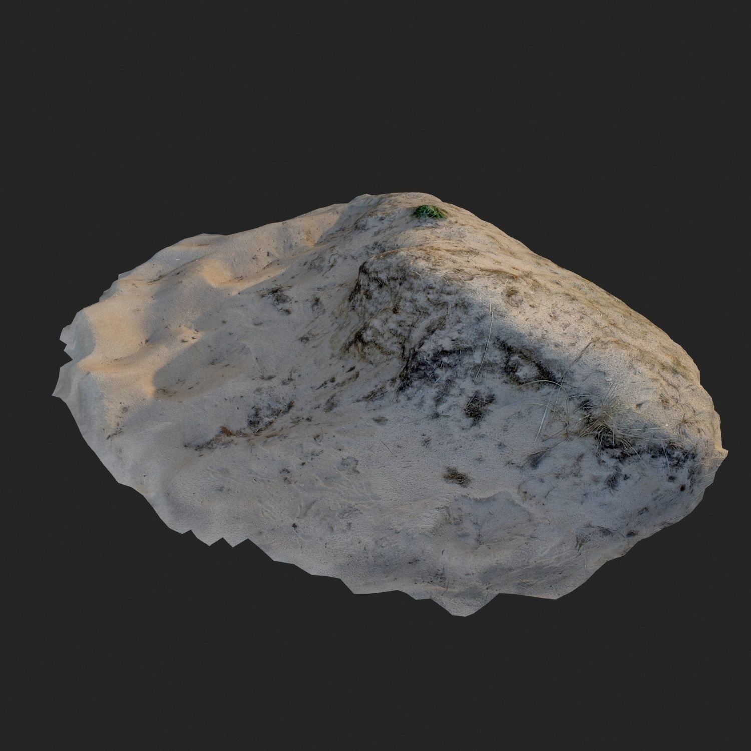 nature ground edge 002 3D model_1