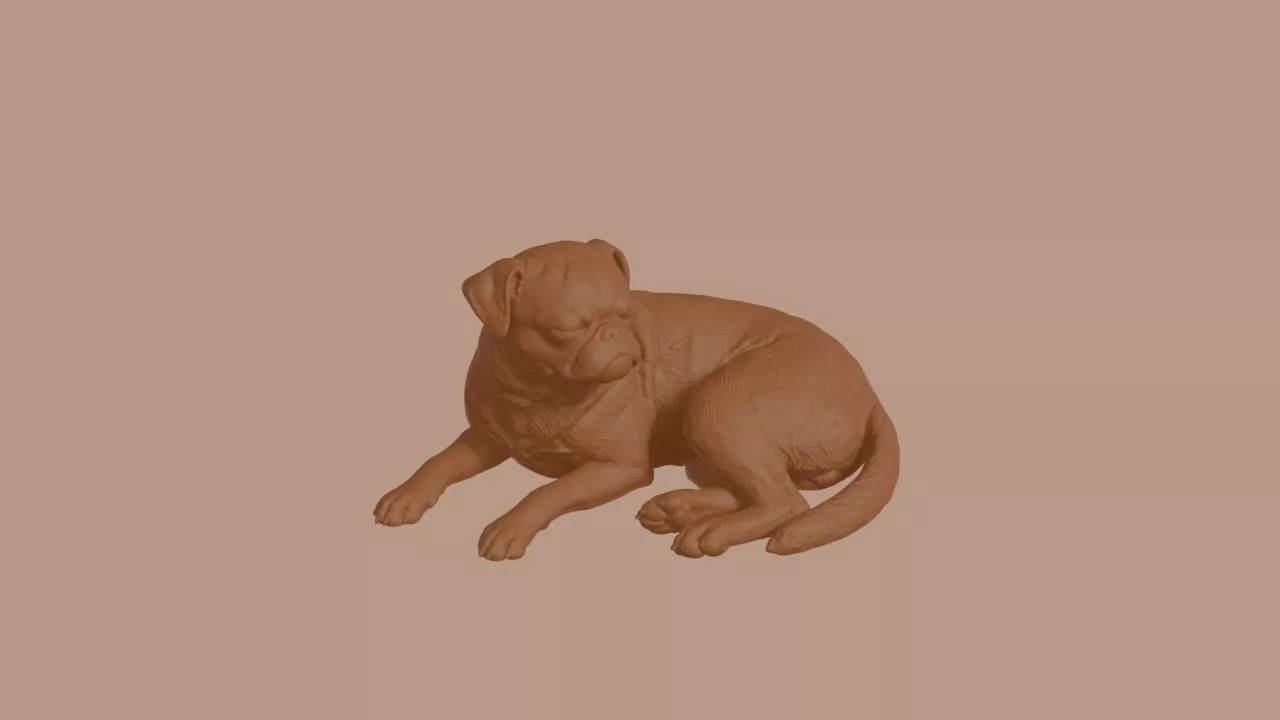 Sleeping Petit Brabancon Dog Figurine 3D print model