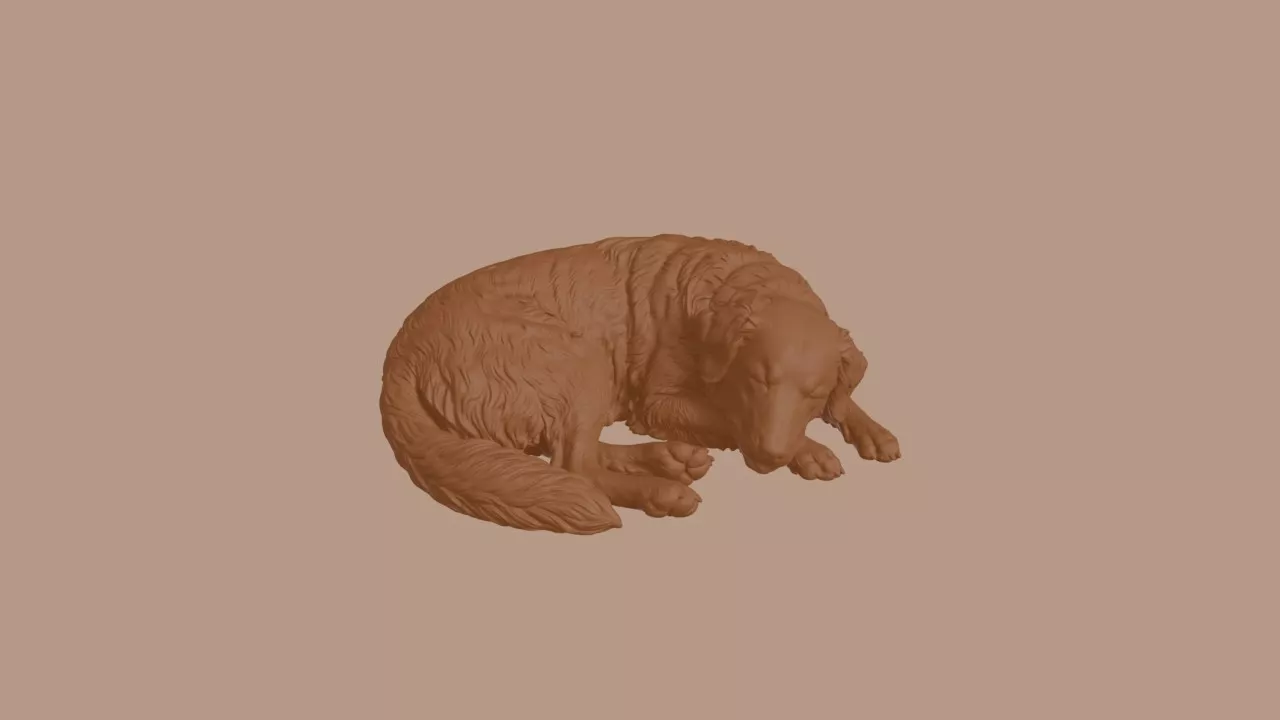 Sleeping Nova Scotia Duck Tolling Retriever Dog Figurine 3D print model