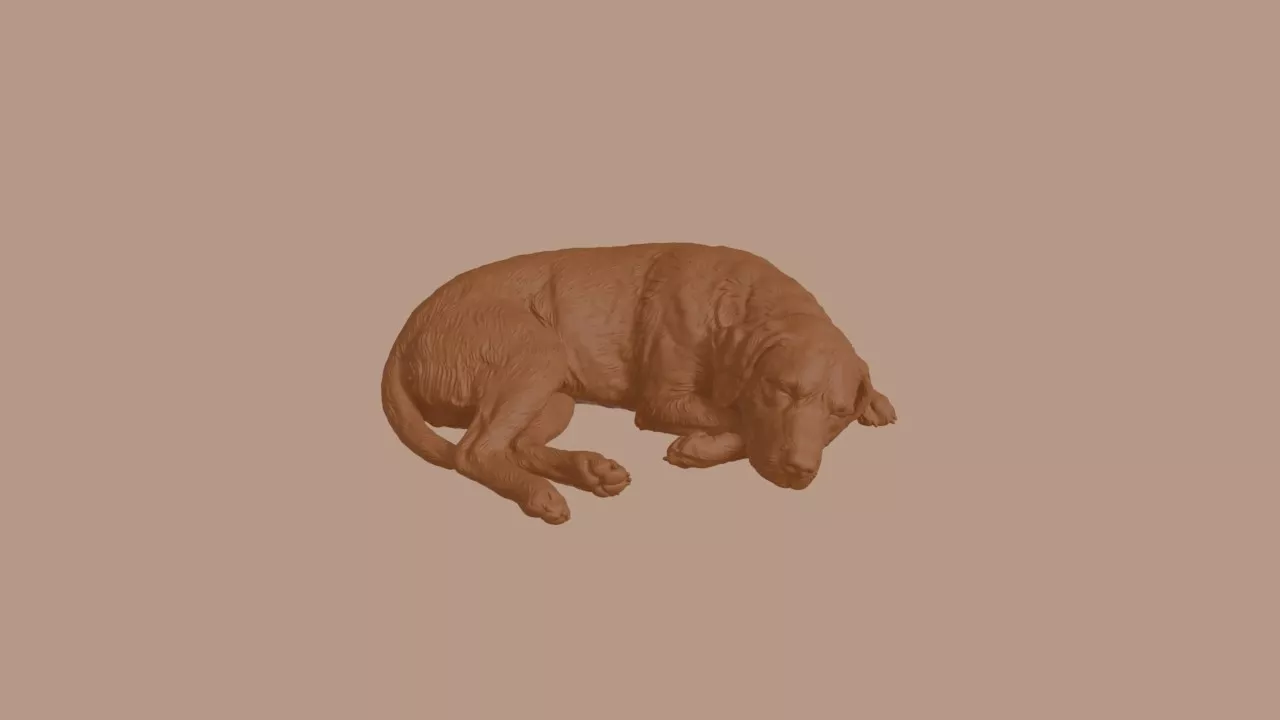 Sleeping Griffon Fauve de Bretagne Dog Figurine 3D print model