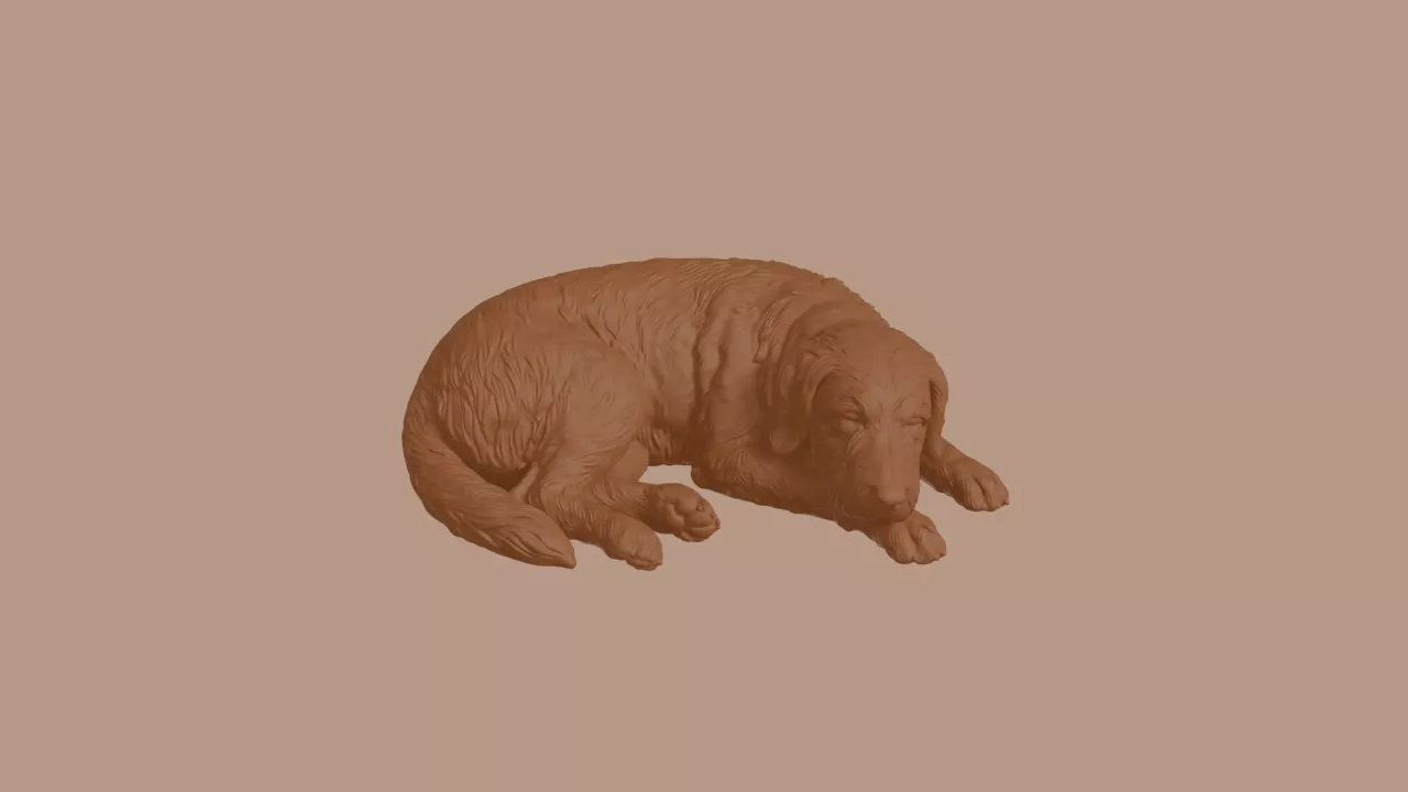 Sleeping Bearded Collie Dog Figurine 3D print model