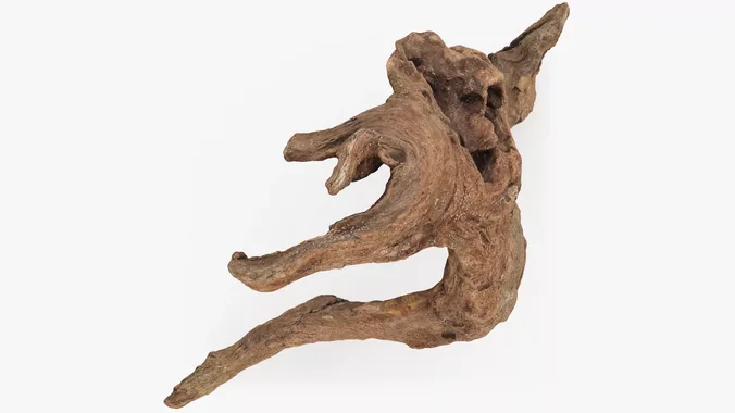 Driftwood Piece 01
