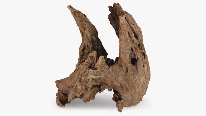 Driftwood Piece 02