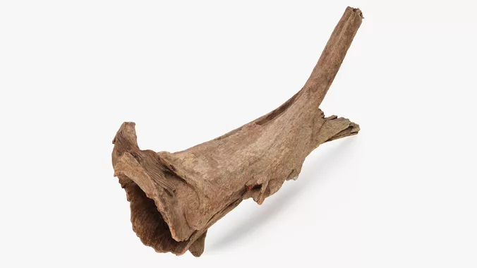 Driftwood Piece 03