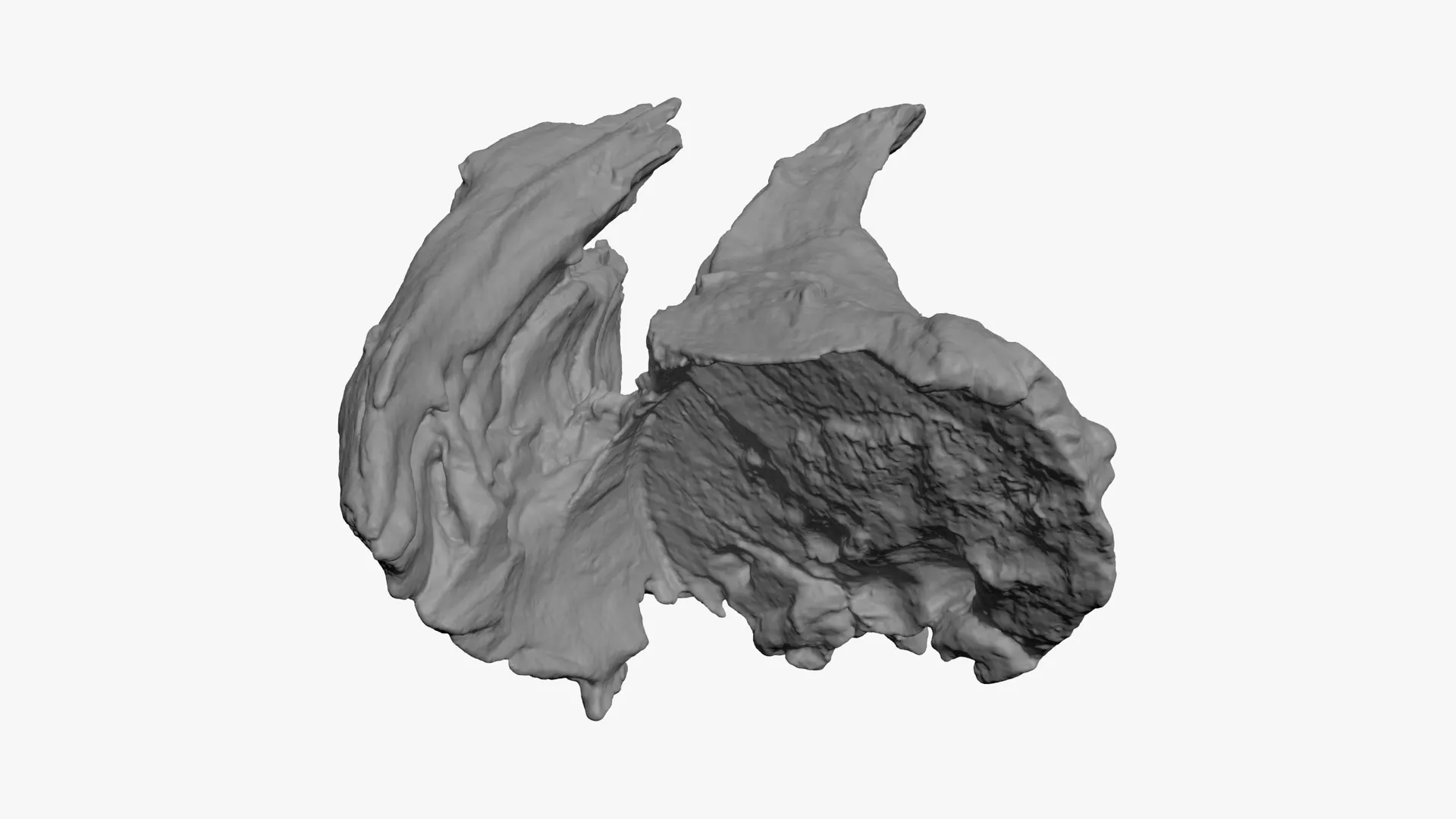 Driftwood Piece 02 - For 3D Print 3D print model