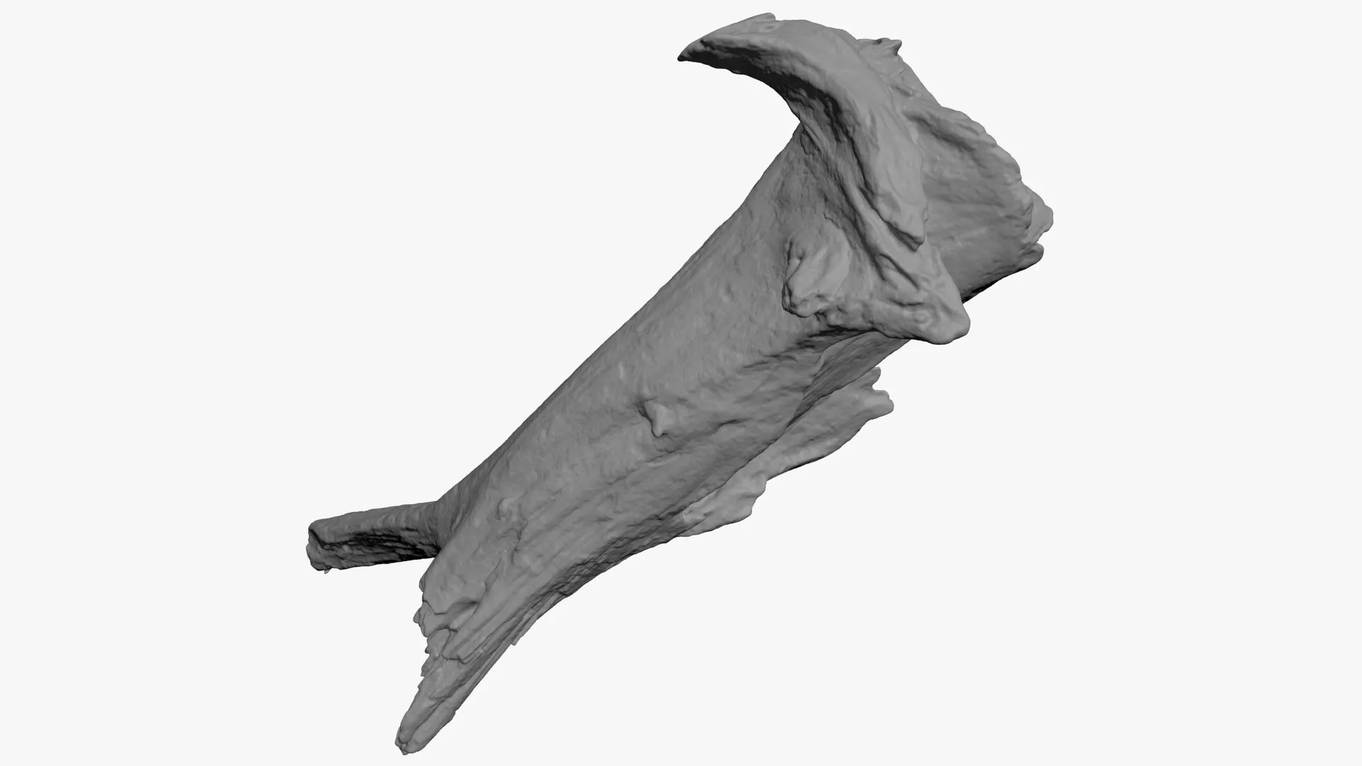 Driftwood Piece 03 - For 3D Print 3D print model