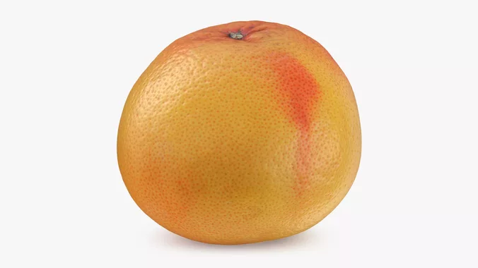 Whole Grapefruit