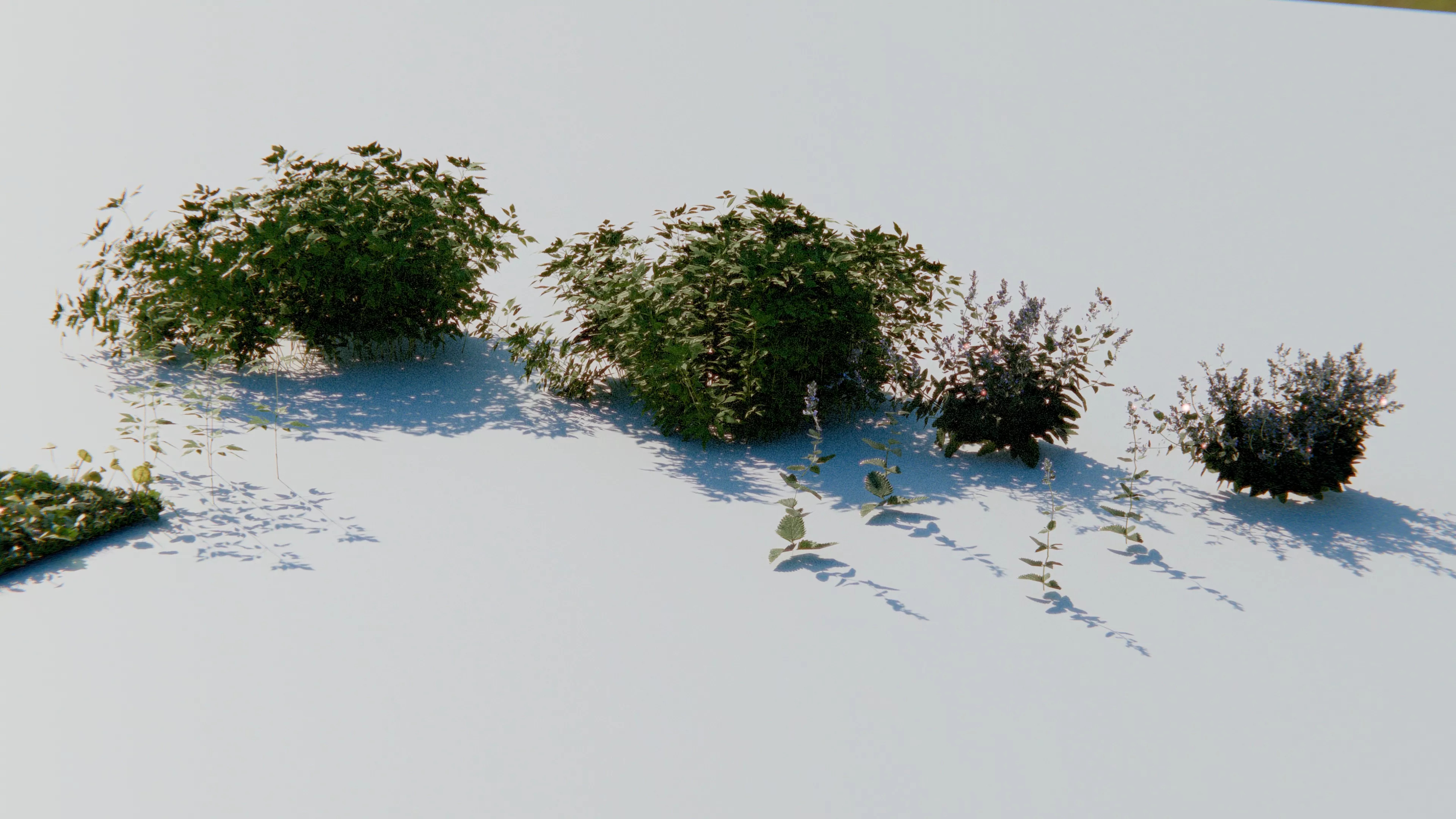 Low Res Grass and Plants Scan Free 3D model