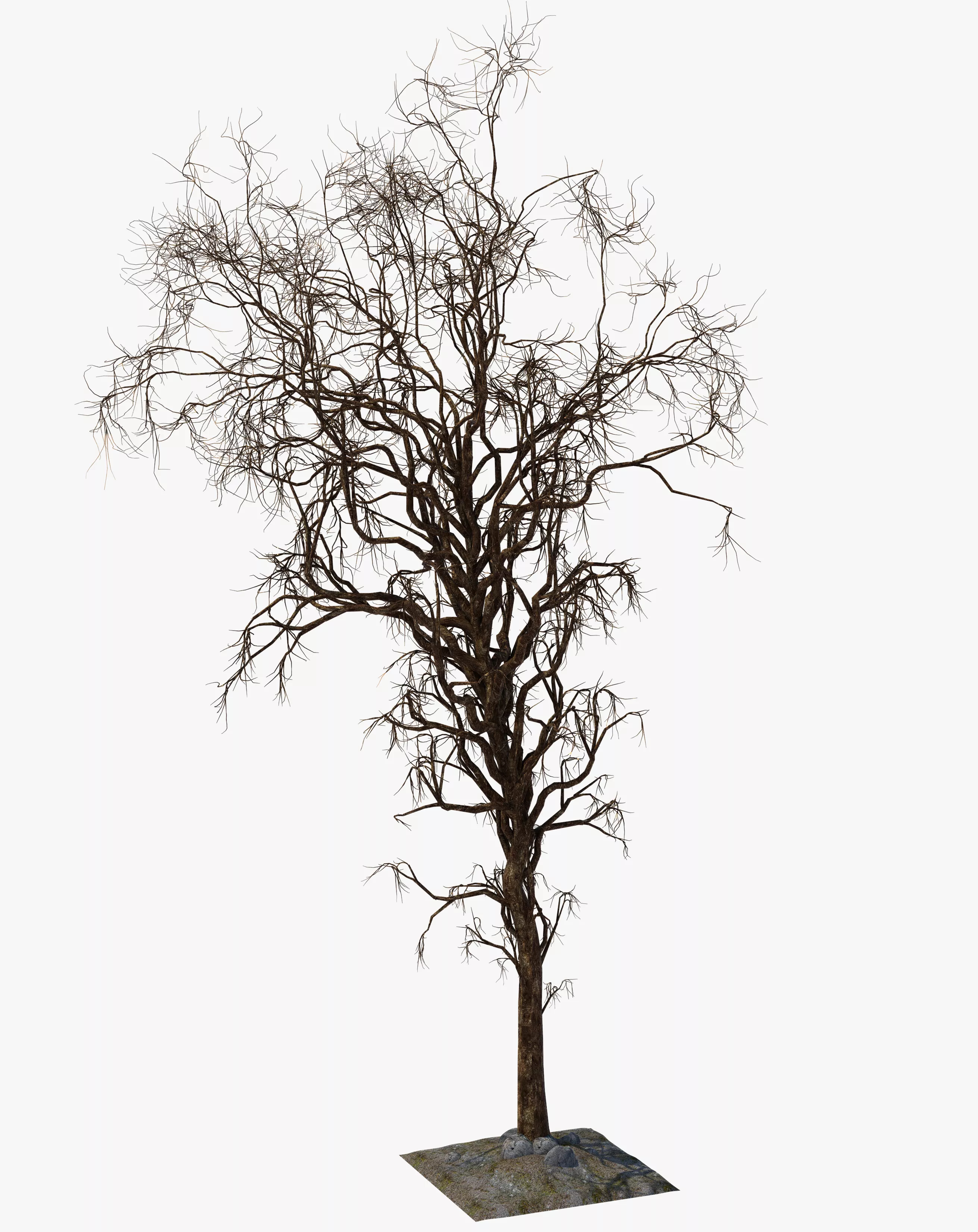 Fantasy Death Tree Free 3D model