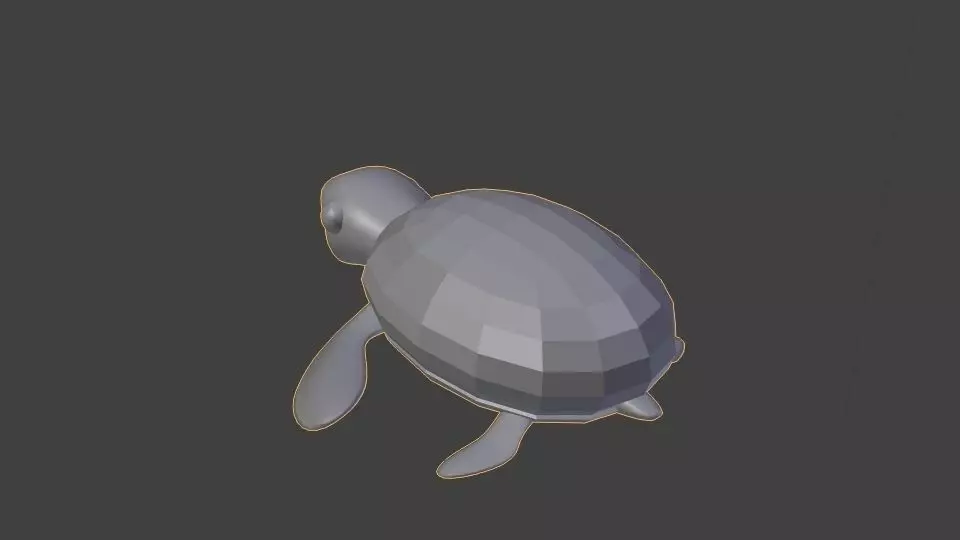 Baby Turtle Low-poly 3D model_0