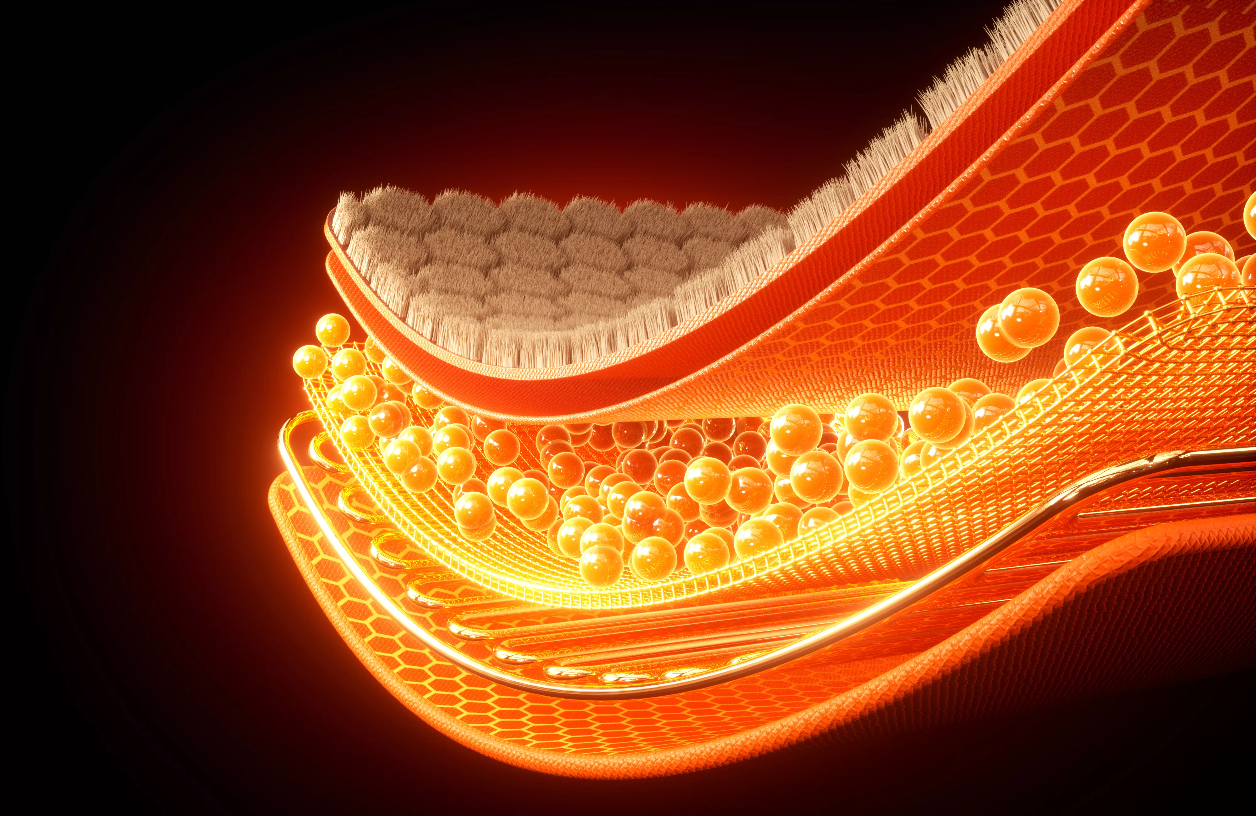 Heat Locking Thermal Fabric Layered Structure 3D model