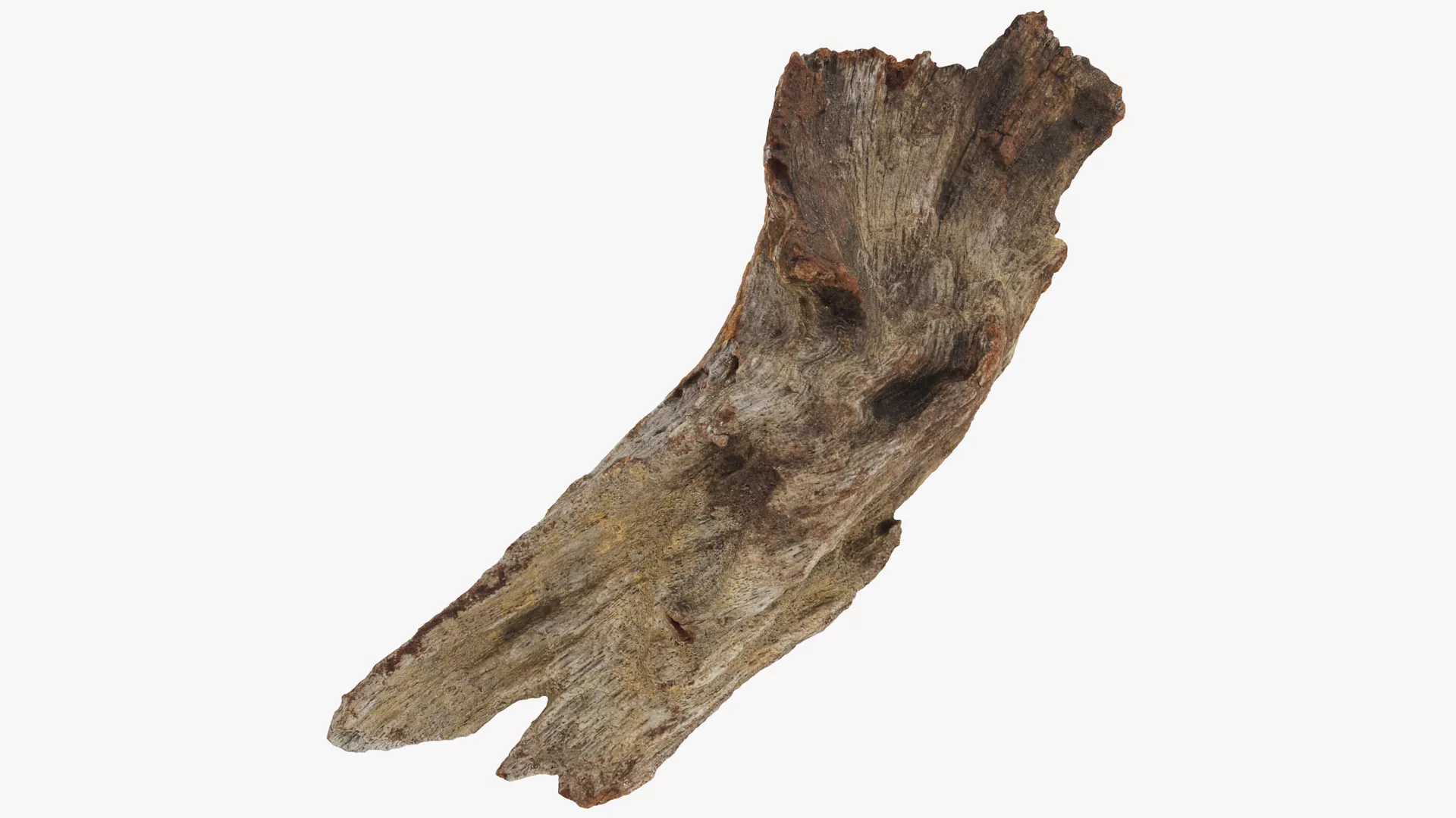Broken Tree Trunk 01 Low-poly 3D model