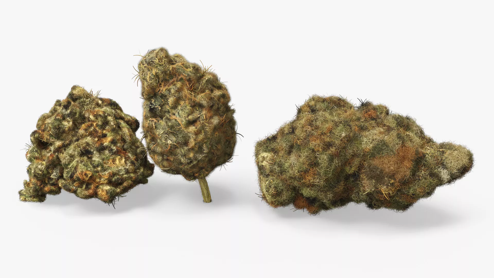 Cannabis Flower Buds Fur 3D model