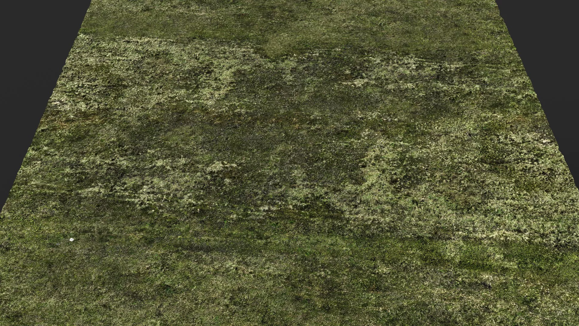 terrain ground grass bushes patch pt21 PBR photogrammetry Low-poly 3D model