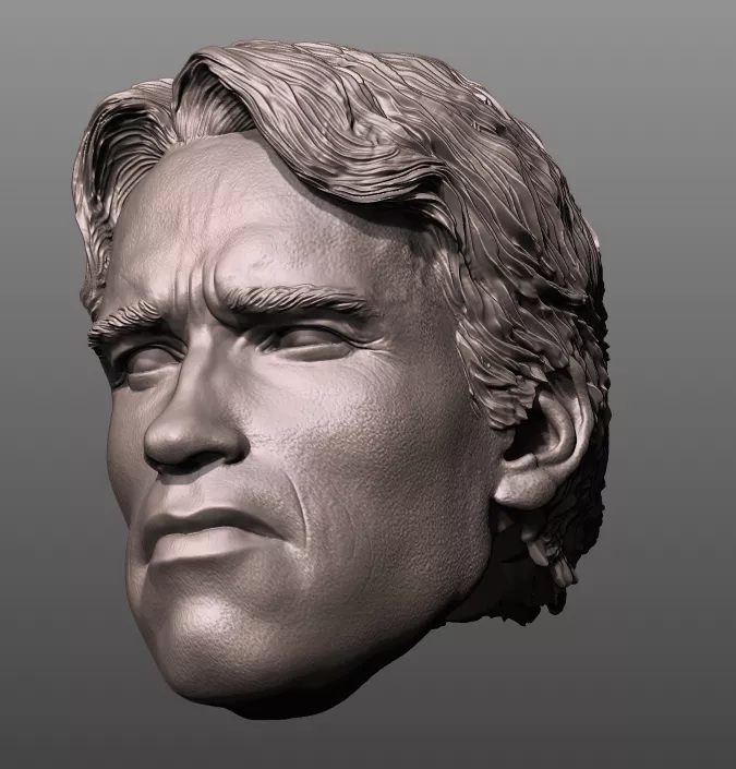 Arnold terminator TECHNOIR 3D print model