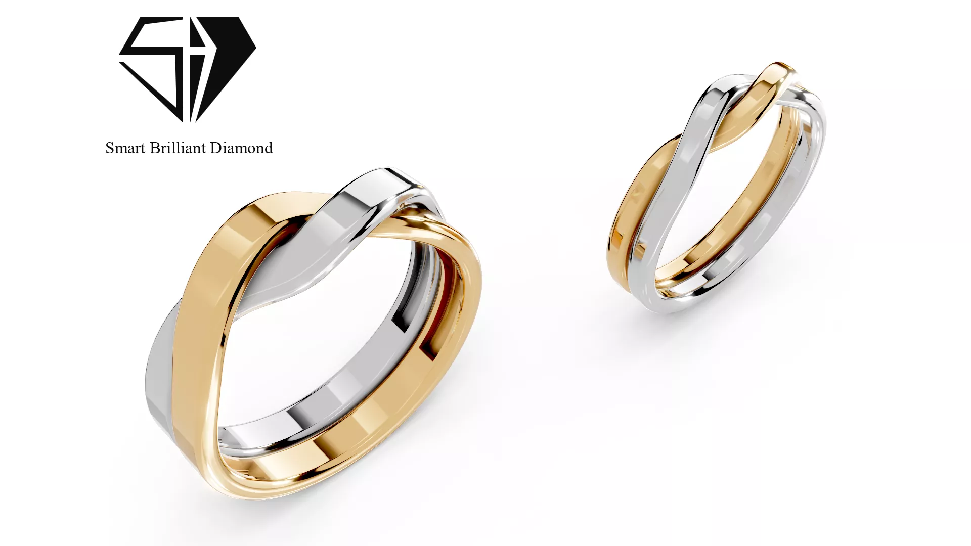 Eternal Twin Interlocking Wedding Rings cr0236 3D print model
