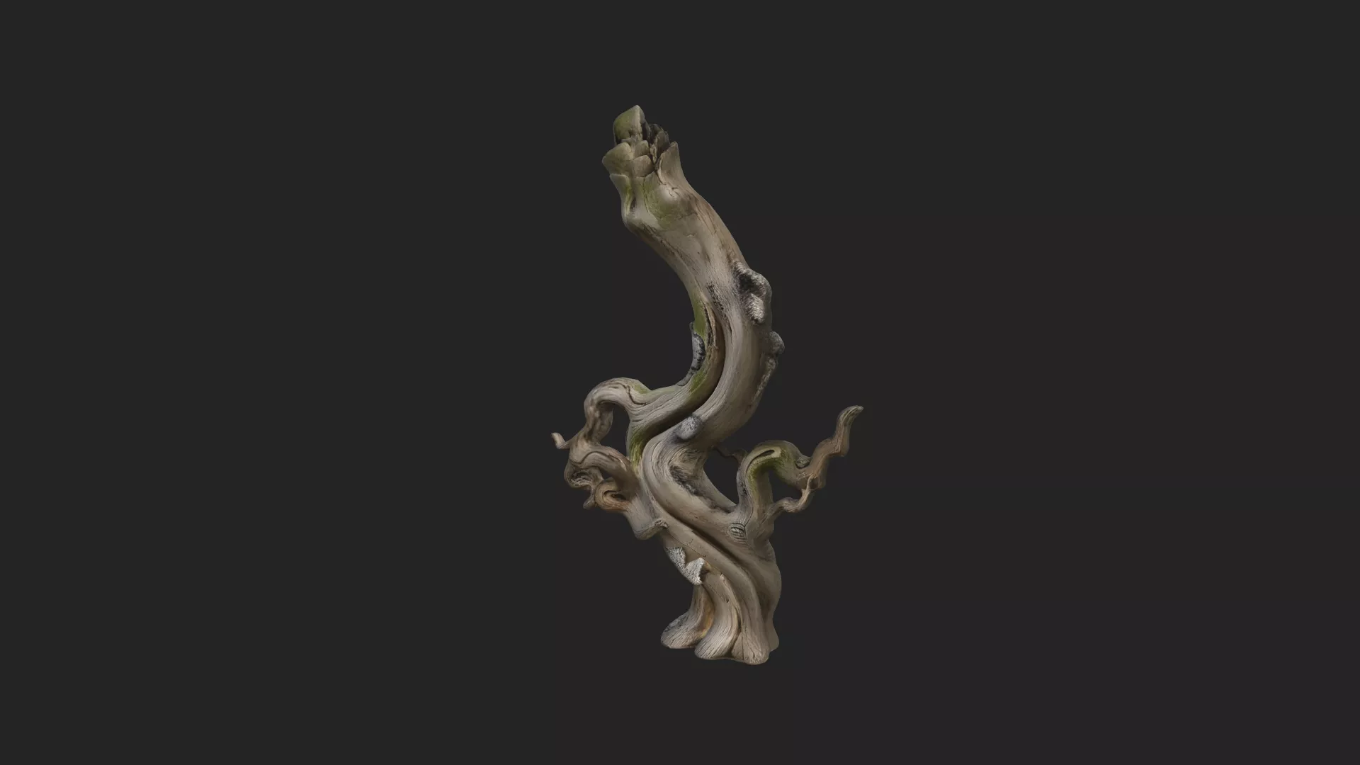 tree stump 3D model 001 Low-poly 3D model