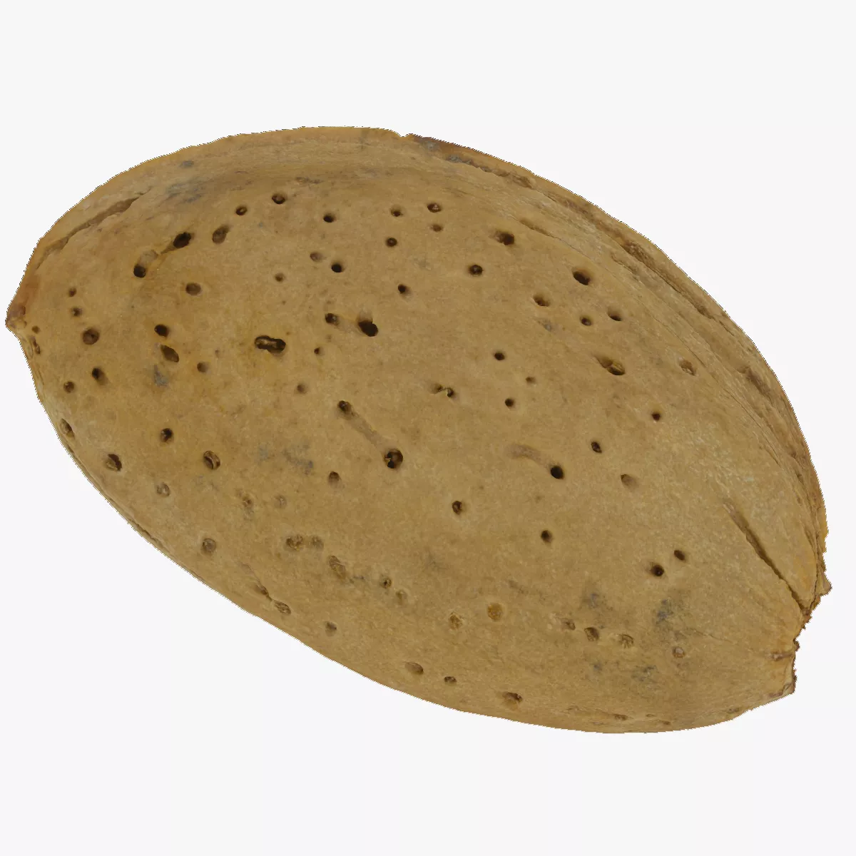 Almond With Shell 02 RAW SCAN 3D model
