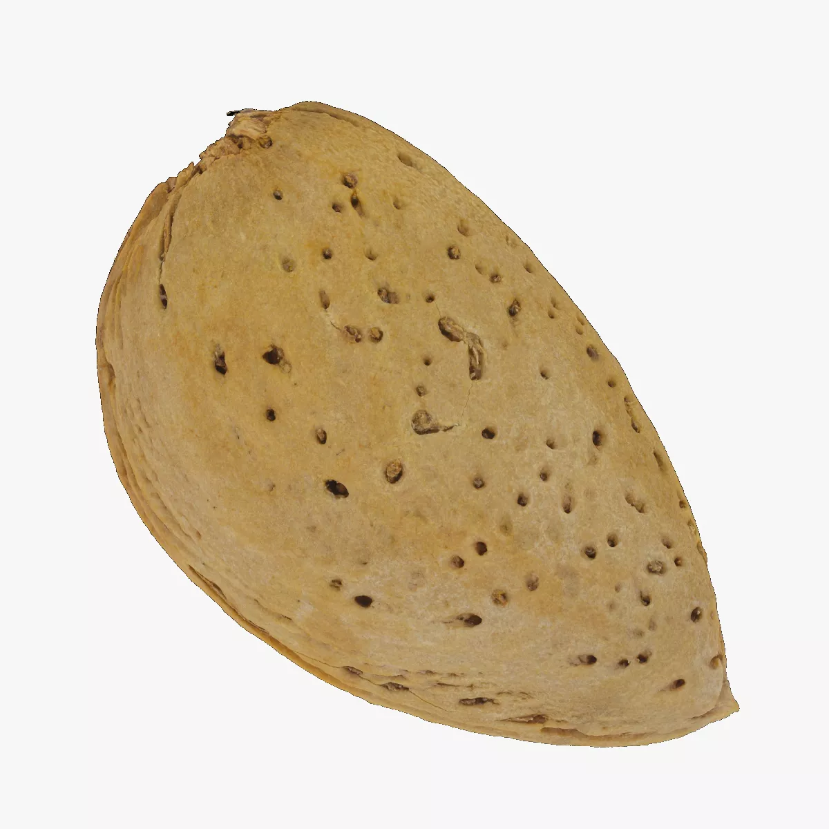 Almond With Shell 01 RAW SCAN 3D model