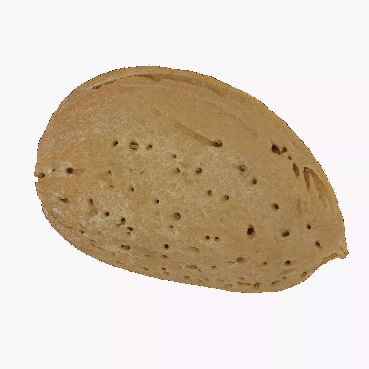 Almond With Shell 03 RAW SCAN 3D model