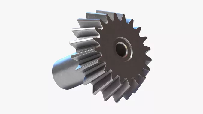 Gear 06