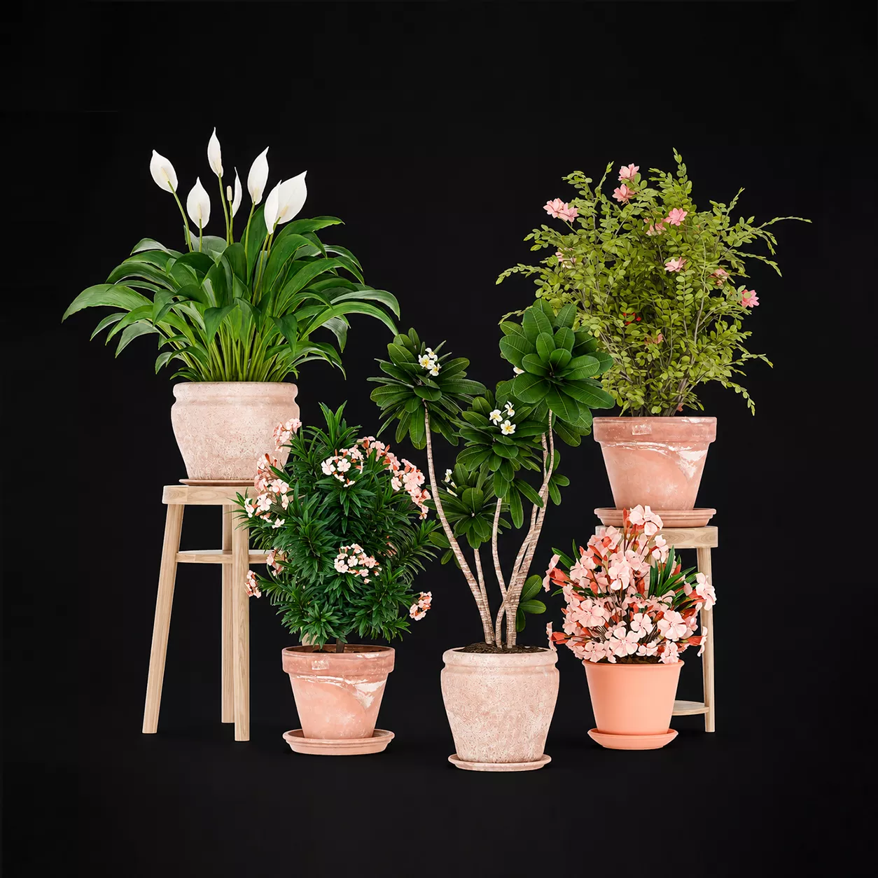 Flowering plants collection Low-poly 3D model