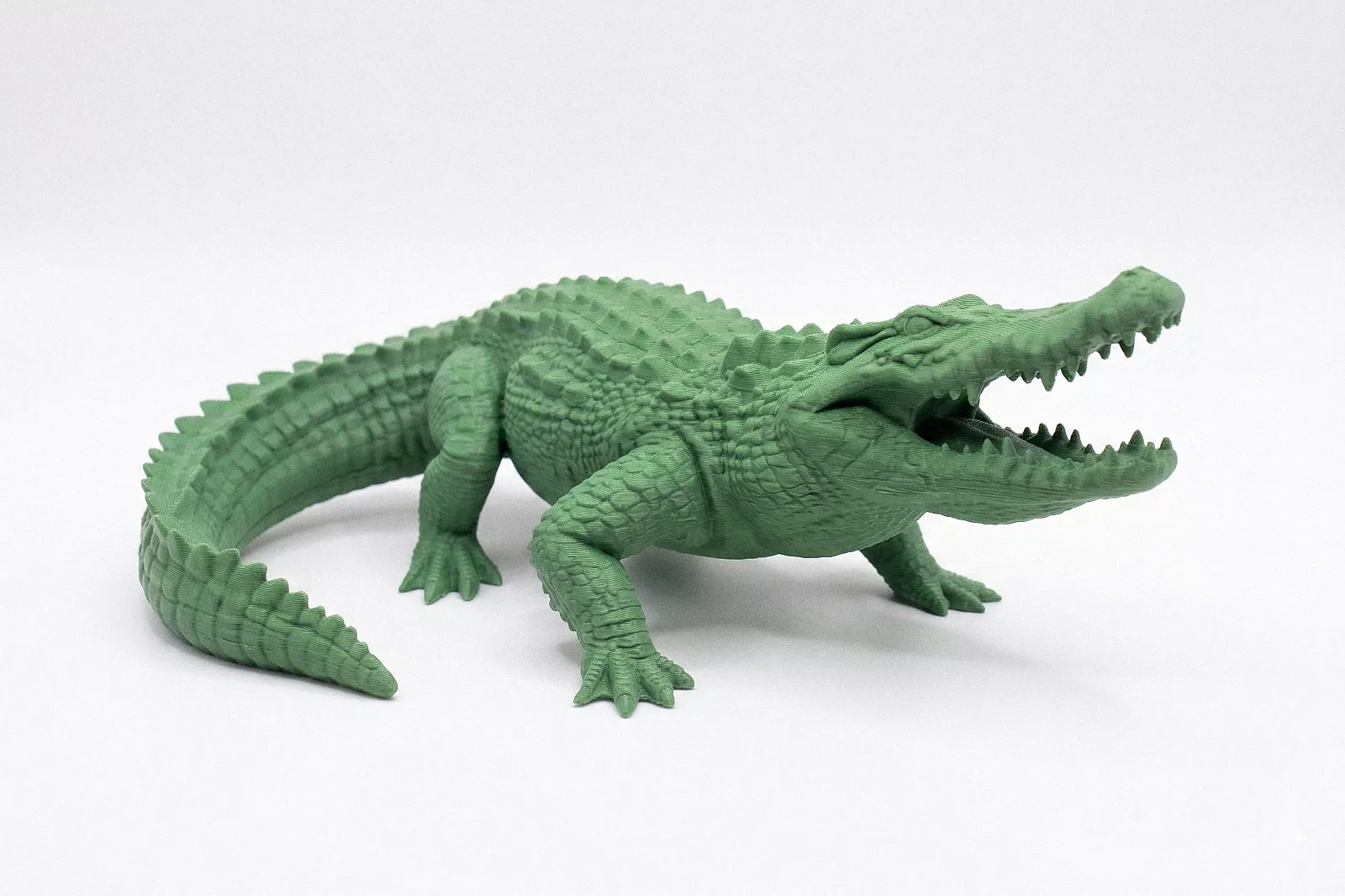 Crocodile 2 3D print model