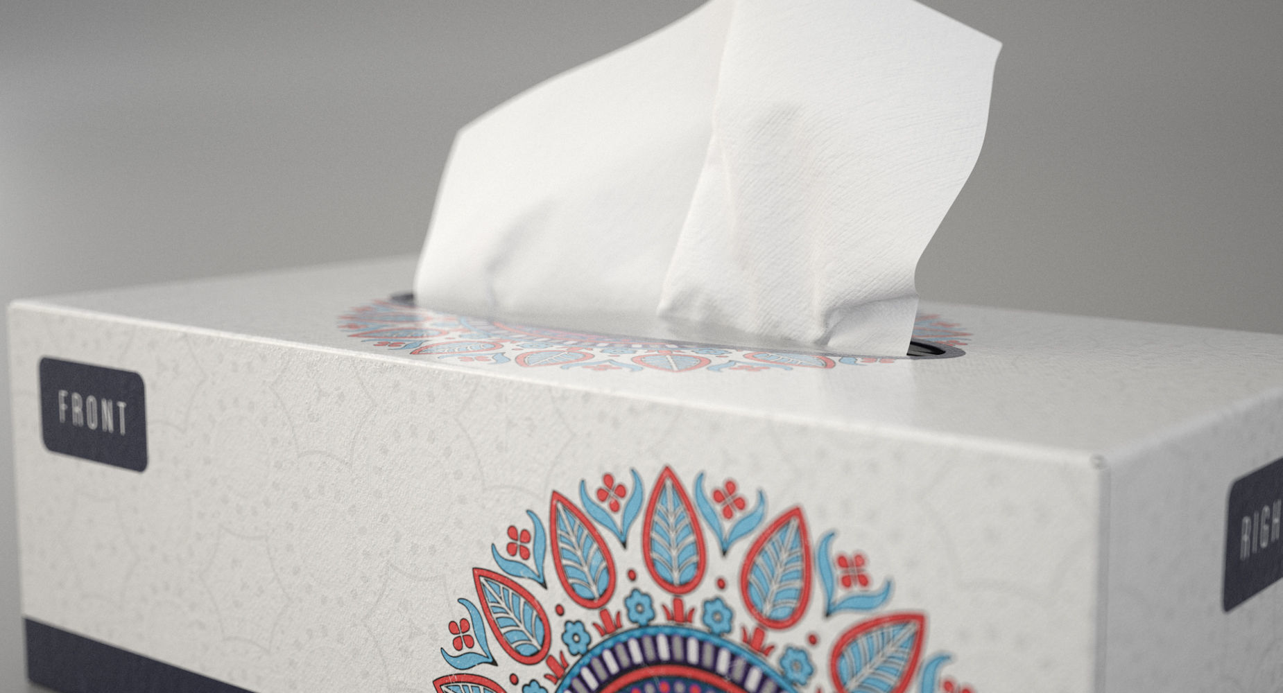 Tissue Box 3D model_4
