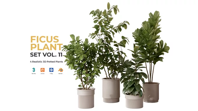 Ficus Plants Set Vol 11