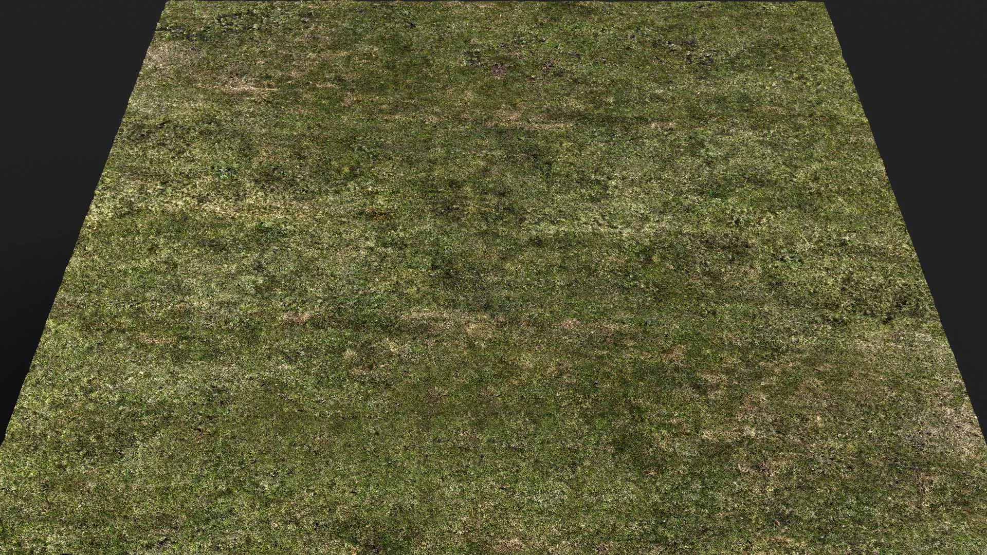 terrain ground grass bushes patch pt22 PBR photogrammetry Low-poly 3D model