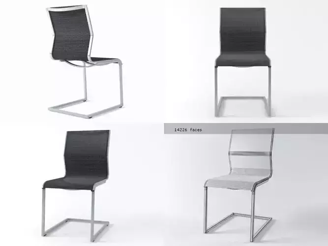 Vittoria modern dining chair