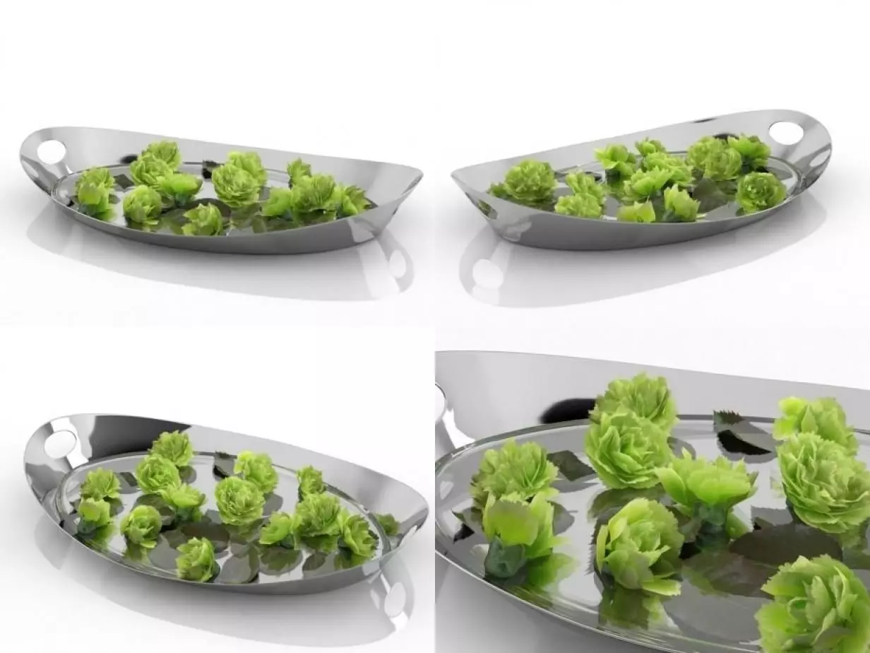 Carnations 02 3D model_0