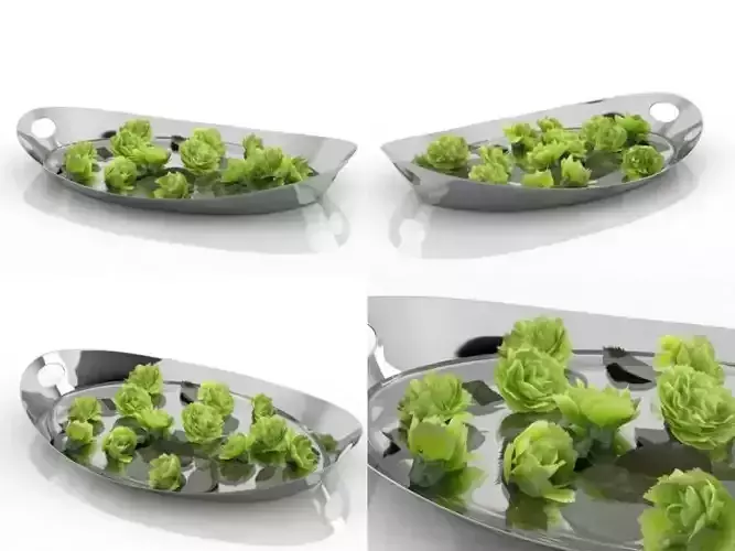 Carnations 02 3D model Carnations 02 3D model