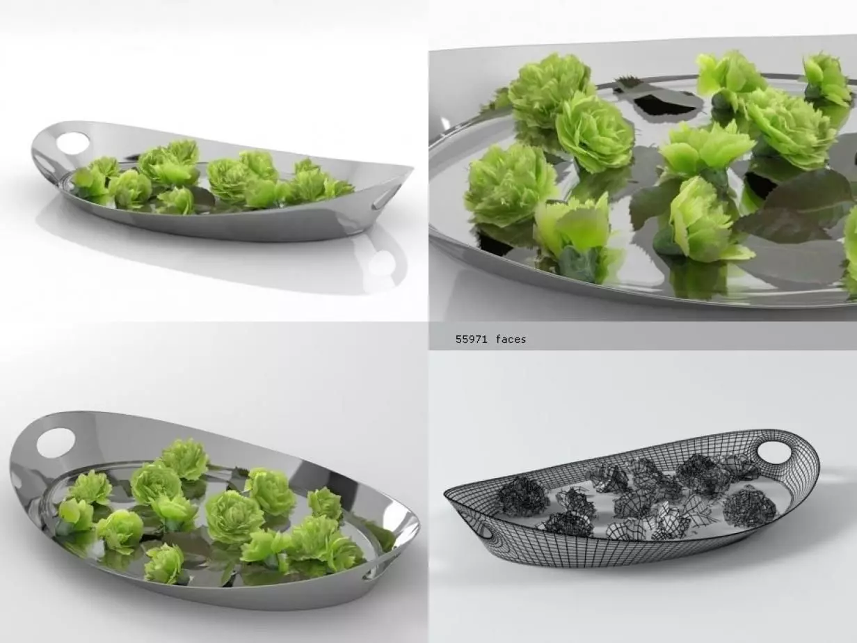 Carnations 02 3D model_1