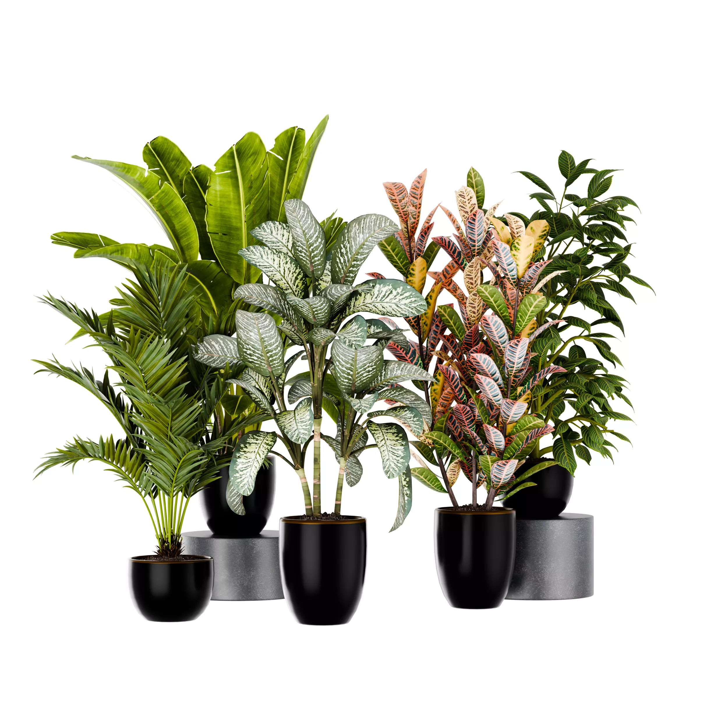 Tropical plants collection Low-poly 3D model