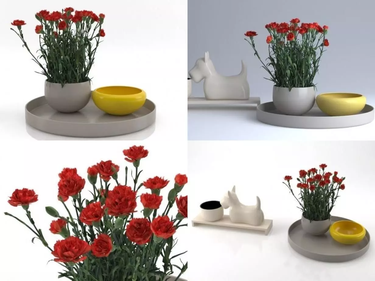 Carnations 01 3D model_0