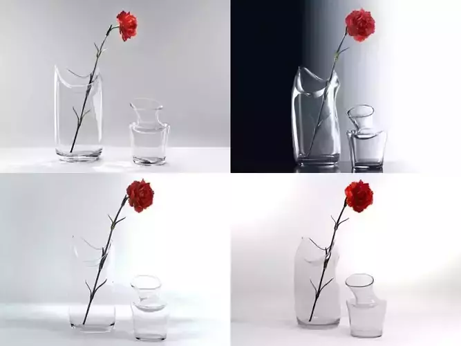 Vases flower in vase