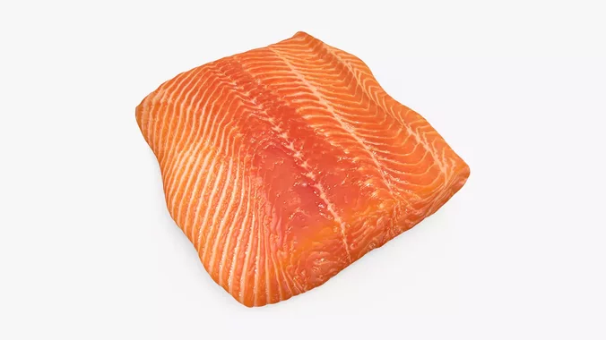 Salmon Fillet 02