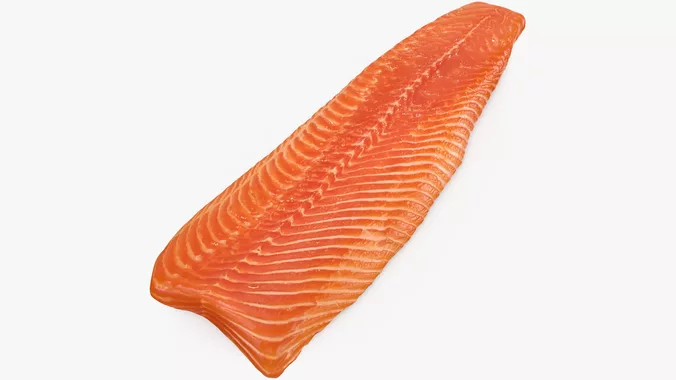 Salmon Fillet 03