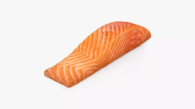 Salmon Fillet 04