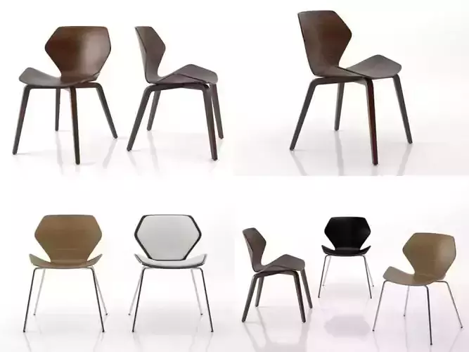 Ginkgo modern dining chairs