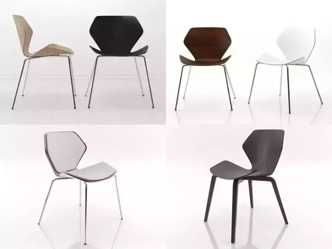 Ginkgo modern dining chairs