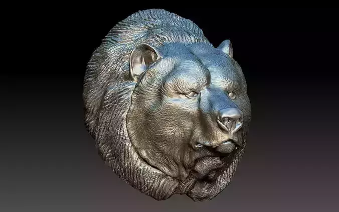 Bear 3d model head