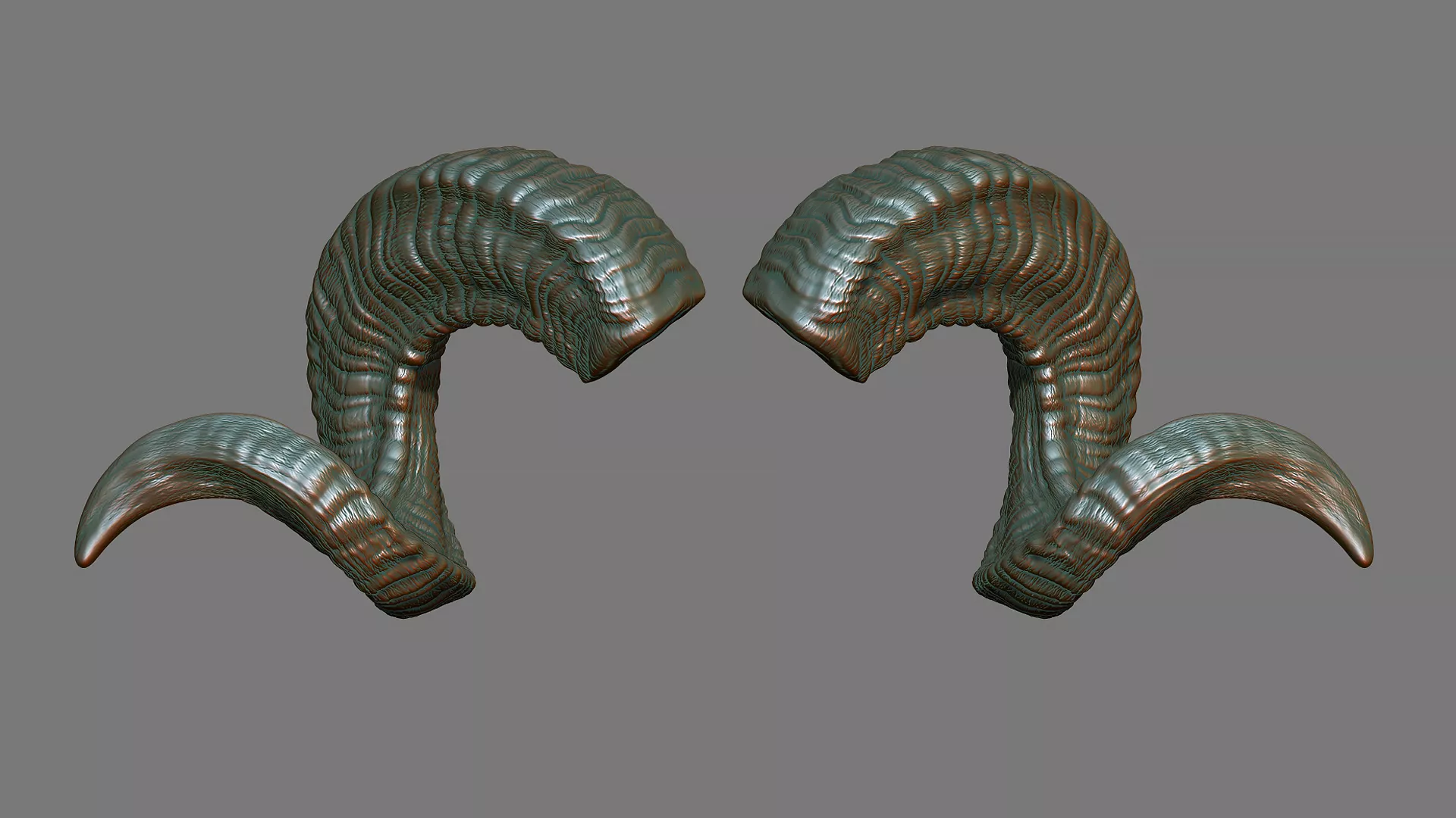 Ram Horns 3D print model