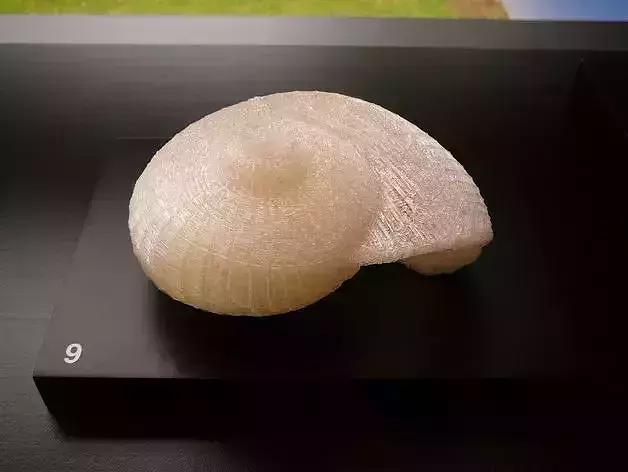 Giant snail shell Free 3D print model