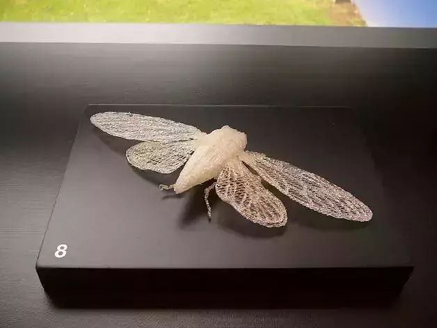Cicada plastic butterfly