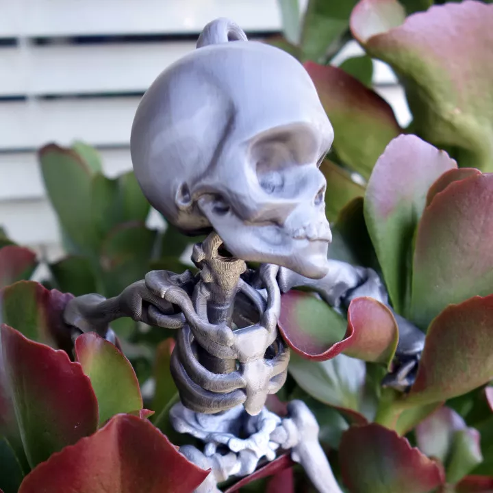 Fully Articulated Human Skeleton 3D print model