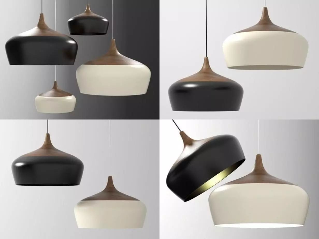 Coco Pendant 3D model_0