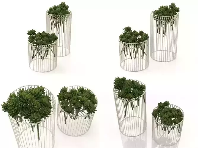 Succulents four metal vases 3D model