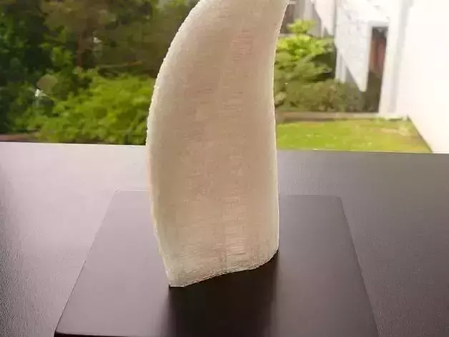 Sperm Whale Tooth